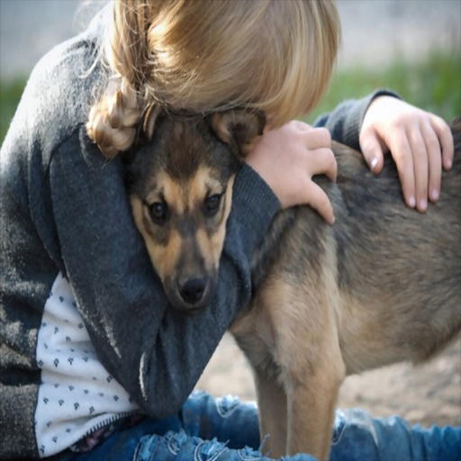 How to Understand your Dog icon