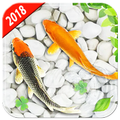 Koi Fish Pond 3D Live Wallpaper icon
