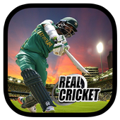 Real Game Cricket 2018 icon