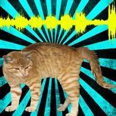 Cat Translator Voice icon