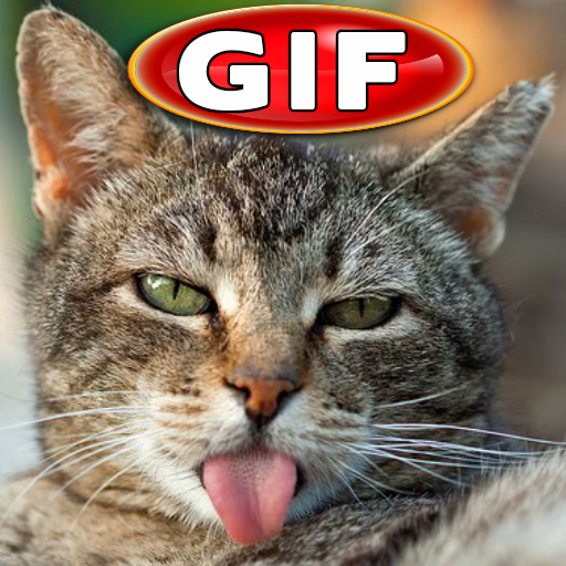 Funny Cats Gif icon
