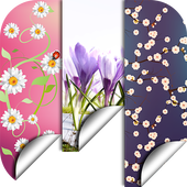 Spring Flowers Backgrounds HD icon