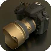 Camera icon