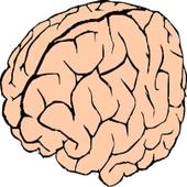 Random Numbers Generator icon