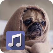 My photo music player icon