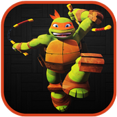 turtle shadows ninja icon