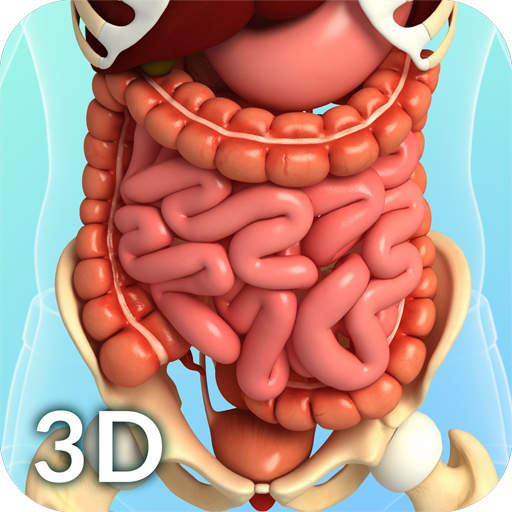 Digestive System Anatomy icon