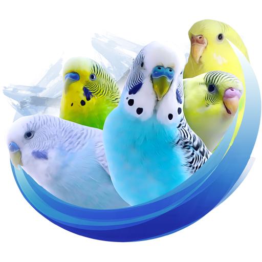Alen AxP Budgie Community أيقونة