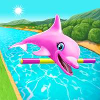 Dolphin Show: Jeu de Dauphin