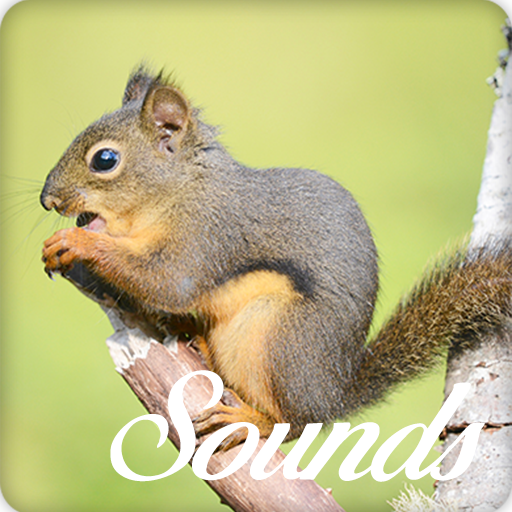 Squirrel Sounds and Ringtone Audio icon