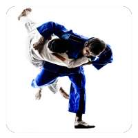 Jiu Jitsu Guide on 9Apps