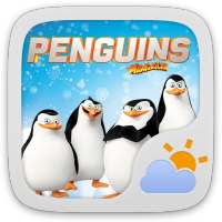 Penguins Of MG Weather Widget on 9Apps