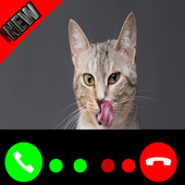 Fake Call Cat 2017 icon