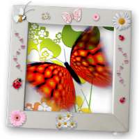 Butterfly Raising - My Butterfly garden