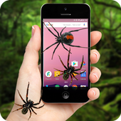 Spider On Screen Plus Funny Joke 2017 icon