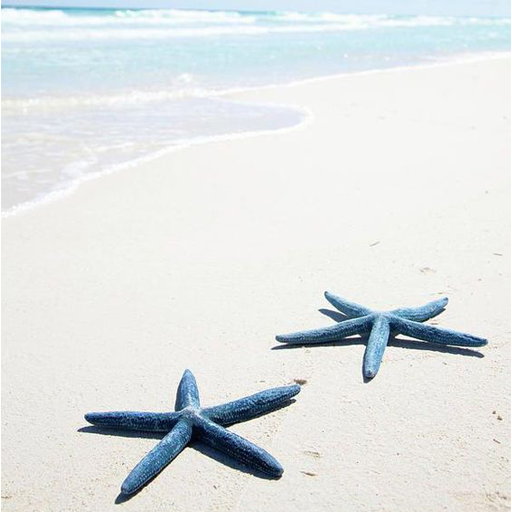 Blue Aesthetic Wallpapers icon