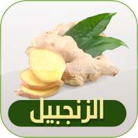 فوائد الزنجبيل on 9Apps