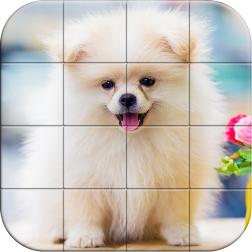 Tile Puzzle Pomeranian Dogs أيقونة