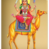 Dashama أيقونة