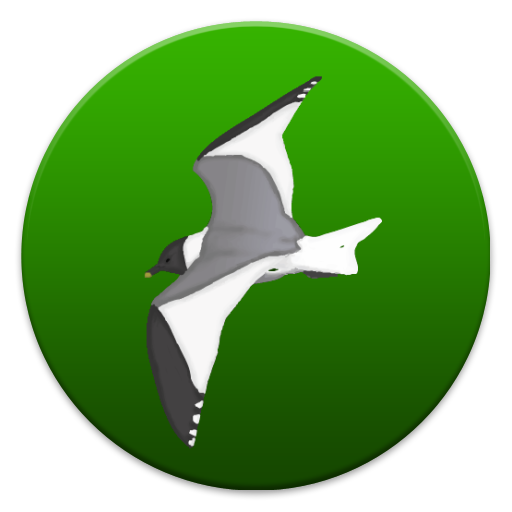 Xema Lite icon