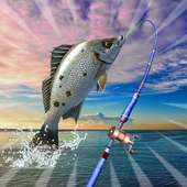 Pro Fishing 3D - Fishing Season Daily Catch