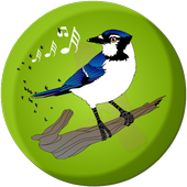 Bird Sounds And Ringtones icon