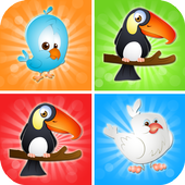 Bird memory games icon