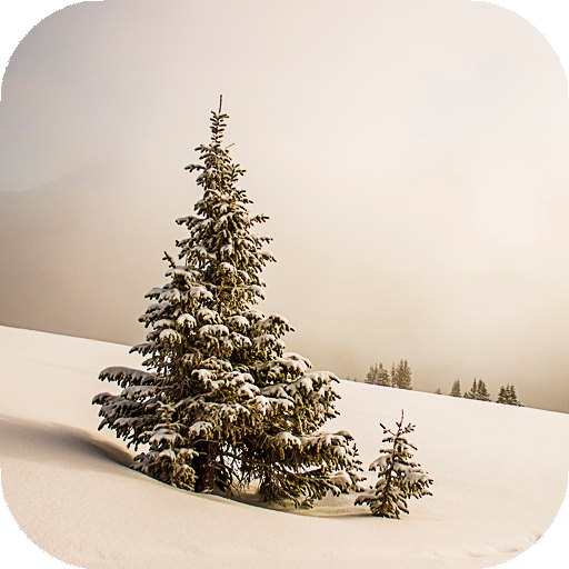 Winter Wallpapers HD (backgrounds &amp; themes) icon