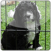 Coordinate Geometry Practice icon