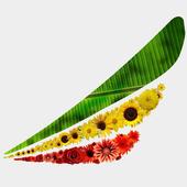 Ethiopian Airways icon