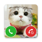 Little Cat Fake Call icon