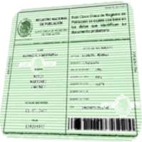 CURP MEXICO Enlace on 9Apps