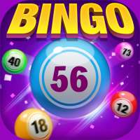 Bingo Happy - Card Bingo Games