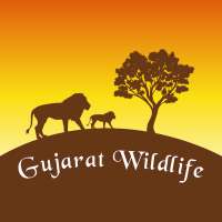 Gujarat Wildlife