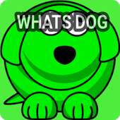 Whatsdog Last Seen on 9Apps