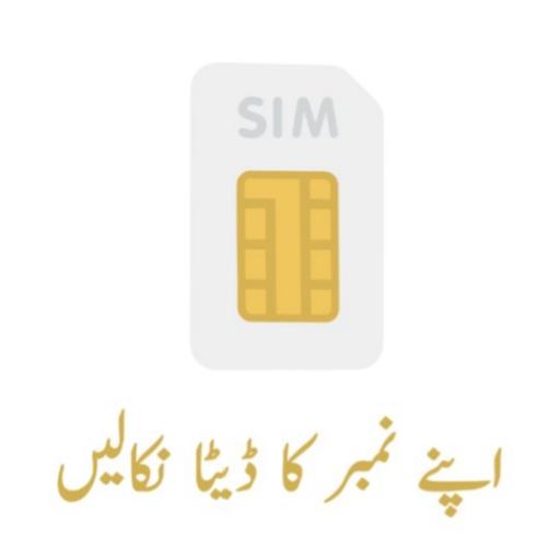 Sim Checker icon