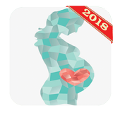 دليل الحامل بدون نت أيقونة