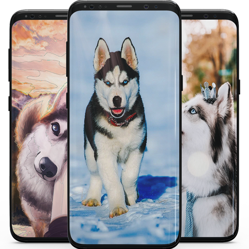 Husky Dog Wallpaper HD - Husky Backgrounds icon
