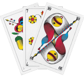 Jassistent (Jass mit Kamera) icon