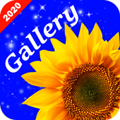 Gallery 2020 icon