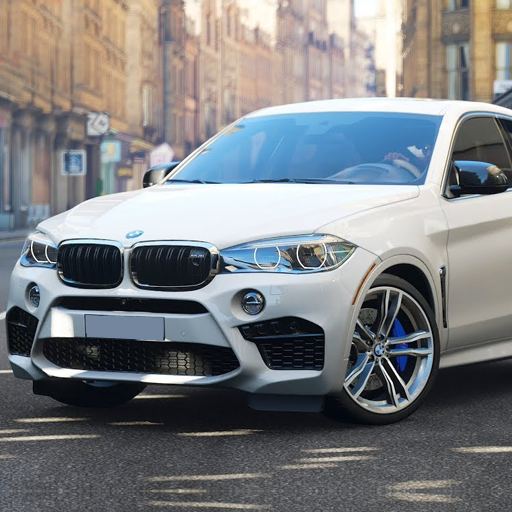 Original BMW X6 Driving Mode icon