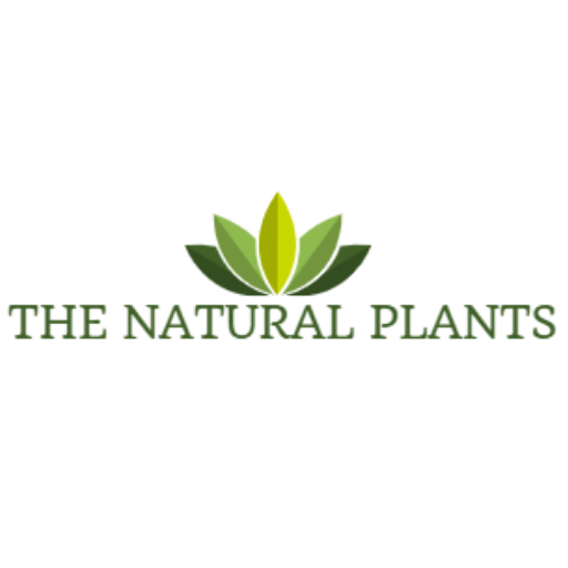 The Natural Plants icon