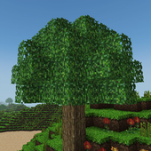 World of Craft : Build icon