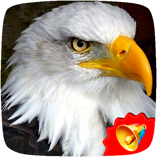 Eagle Sounds icon