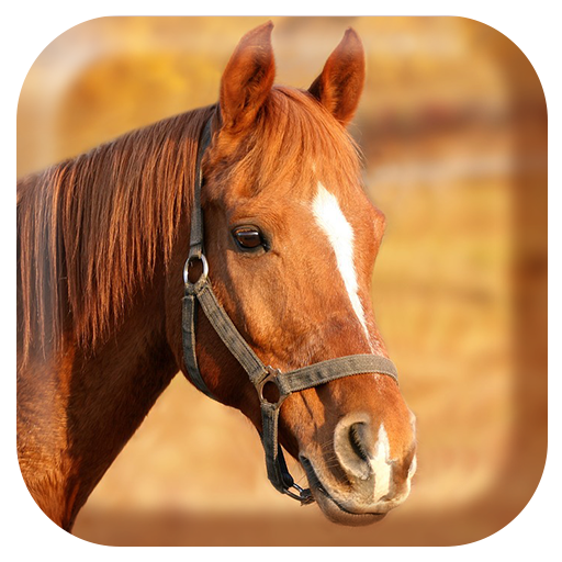 Horse Sounds icon