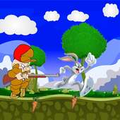 Funny Looney adventures