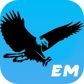 Eagle icon