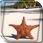 Beach Live Wallpaper icon