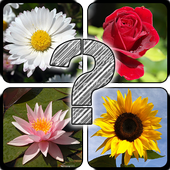 Guess The Flowers icon