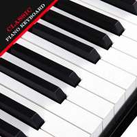 Real Piano keyboard Perfect piano musical keyboard